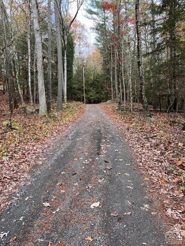 91 Laurie Lane, Earlton, NY 12413