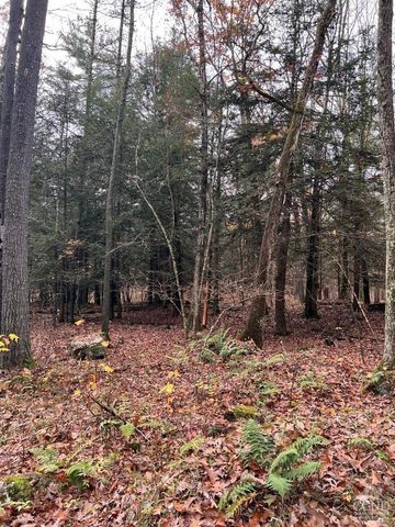 91 Laurie Lane, Earlton, NY 12413