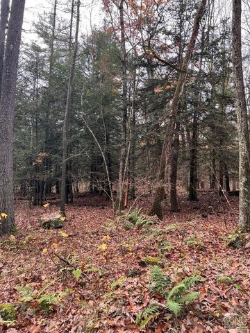 91 Laurie Lane, Earlton, NY 12413