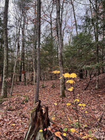 91 Laurie Lane, Earlton, NY 12413