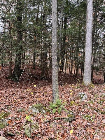 91 Laurie Lane, Earlton, NY 12413