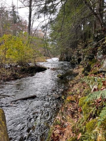 91 Laurie Lane, Earlton, NY 12413