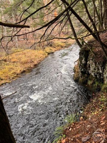 91 Laurie Lane, Earlton, NY 12413