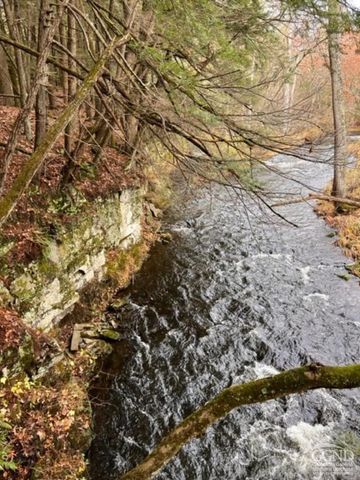 91 Laurie Lane, Earlton, NY 12413