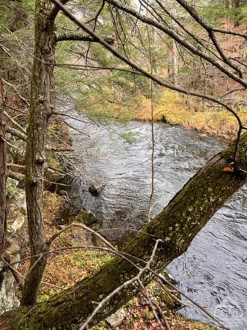 91 Laurie Lane, Earlton, NY 12413