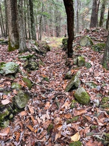 91 Laurie Lane, Earlton, NY 12413