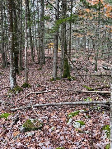 91 Laurie Lane, Earlton, NY 12413