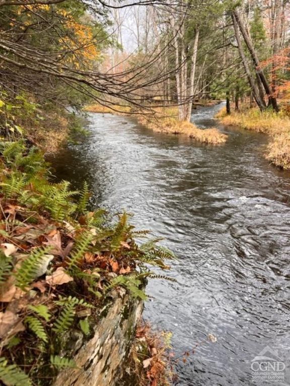 91 Laurie Lane, Earlton, NY 12413