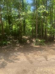 Lot 437 & 438 Hidden Circle, Coldspring, TX 77331