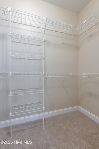 3613 Cattail Lane, Greenville, NC 27858