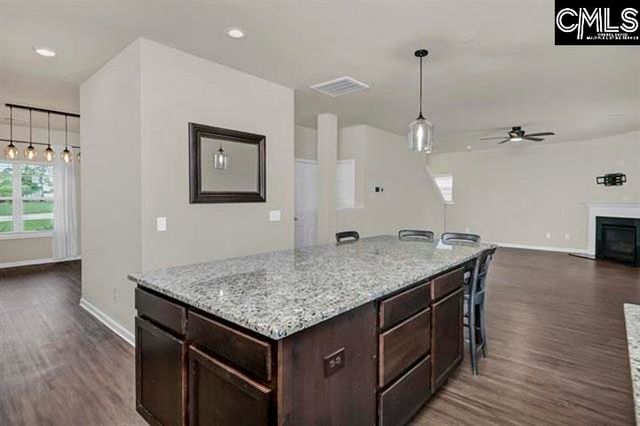 1228 Cypress Valley Drive, Chapin, SC 29036
