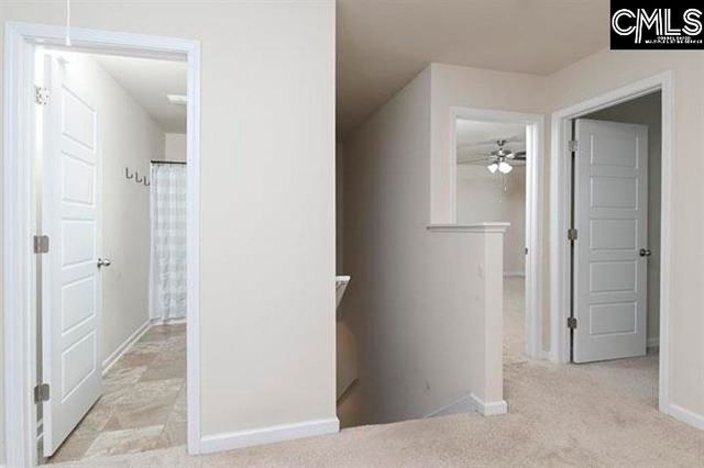 1228 Cypress Valley Drive, Chapin, SC 29036