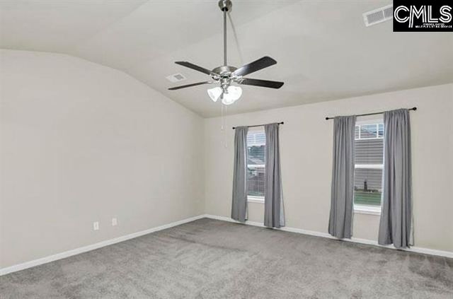 1228 Cypress Valley Drive, Chapin, SC 29036