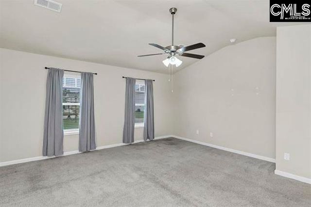1228 Cypress Valley Drive, Chapin, SC 29036