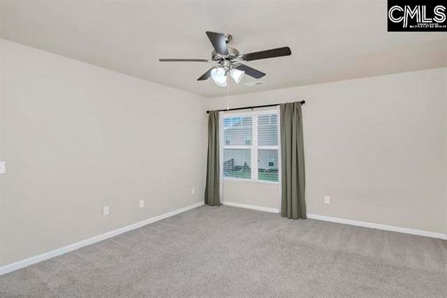1228 Cypress Valley Drive, Chapin, SC 29036