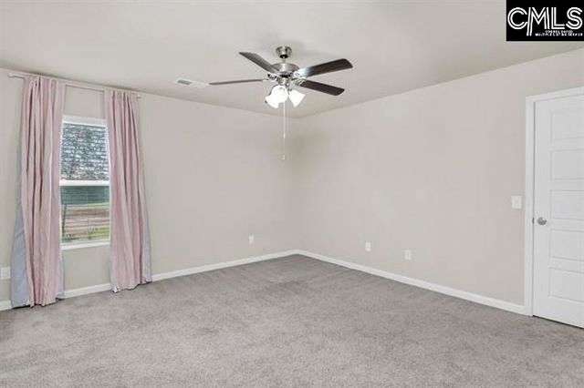 1228 Cypress Valley Drive, Chapin, SC 29036