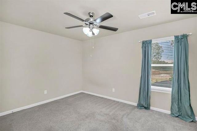 1228 Cypress Valley Drive, Chapin, SC 29036