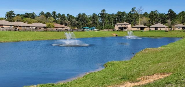 38202 S Lost Creek Boulevard, Magnolia, TX 77355