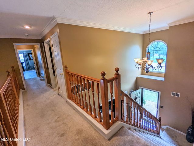 4253 Lakecrest Cove, Olive Branch, MS 38654