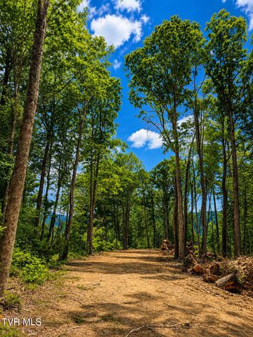 Tbd Heaton Branch Road, Butler, TN 37640