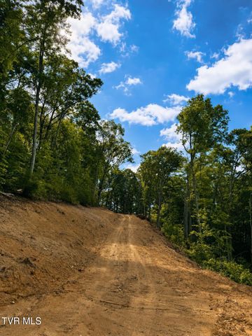 Tbd Heaton Branch Road, Butler, TN 37640