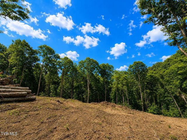 Tbd Heaton Branch Road, Butler, TN 37640