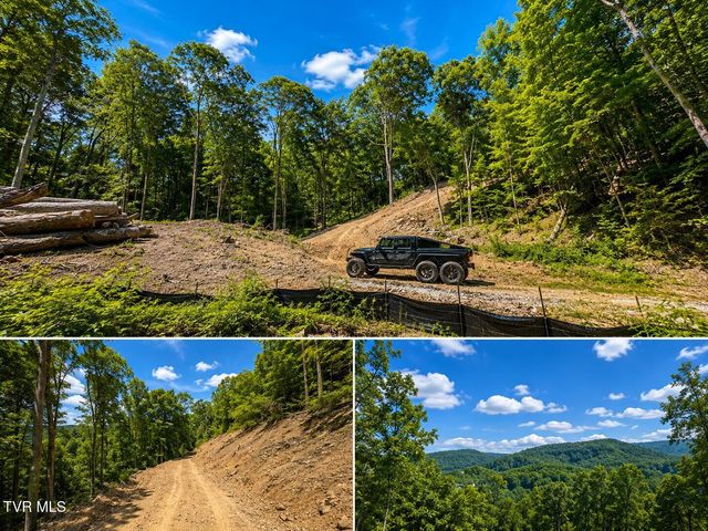 Tbd Heaton Branch Road, Butler, TN 37640