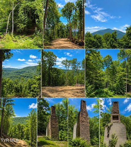 Tbd Heaton Branch Road, Butler, TN 37640