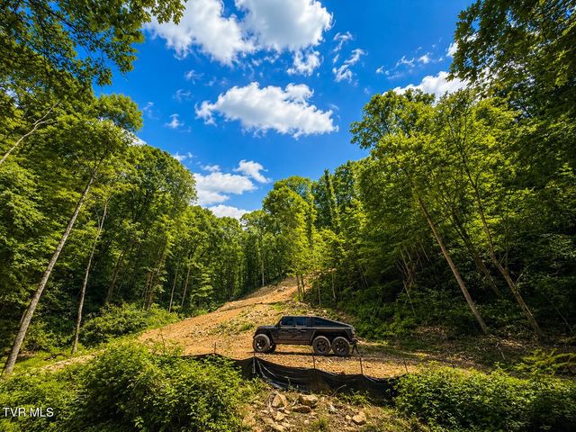 Tbd Heaton Branch Road, Butler, TN 37640