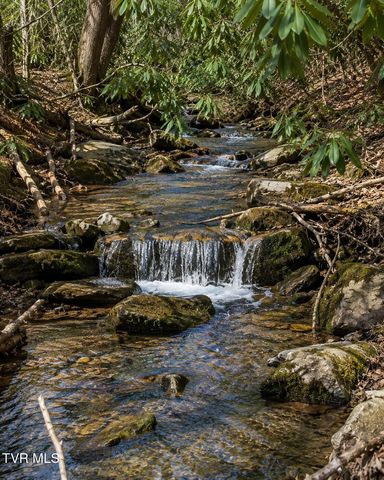 Tbd Heaton Branch Road, Butler, TN 37640