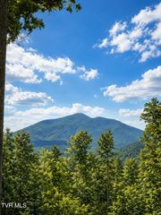 Tbd Heaton Branch Road, Butler, TN 37640