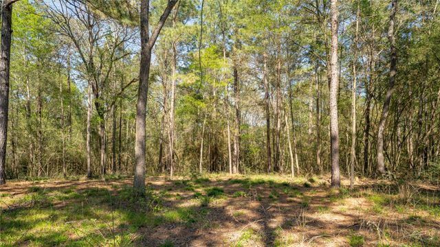 000 Bighorn RD, Huntsville, TX 77340