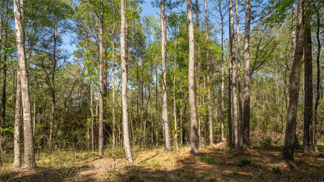 000 Bighorn RD, Huntsville, TX 77340