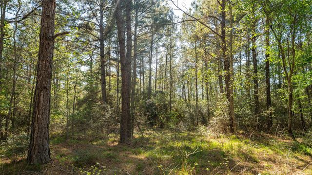 000 Bighorn RD, Huntsville, TX 77340