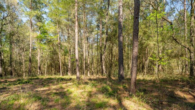 000 Bighorn RD, Huntsville, TX 77340