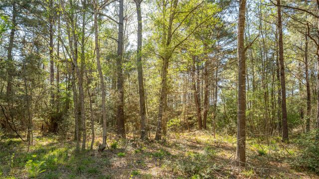 000 Bighorn RD, Huntsville, TX 77340