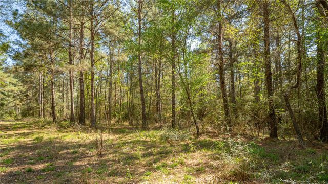 000 Bighorn RD, Huntsville, TX 77340
