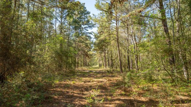 000 Bighorn RD, Huntsville, TX 77340