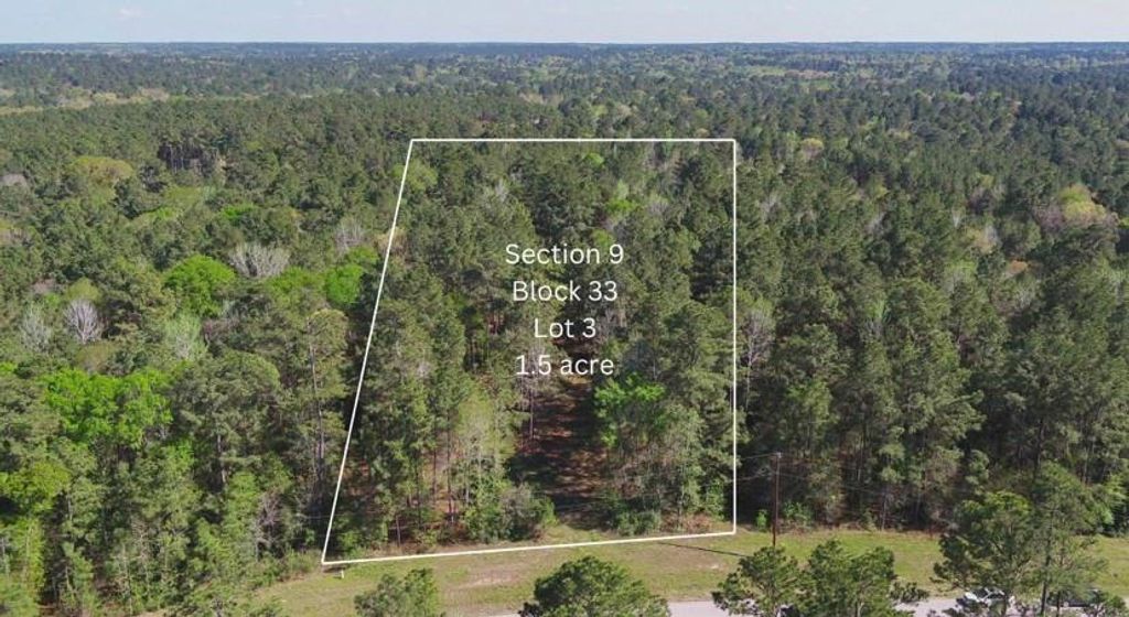 000 Bighorn RD, Huntsville, TX 77340