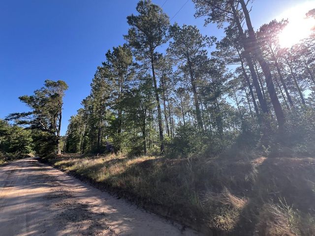 T-8 Fountain Creek Road, Groveton, TX 75845