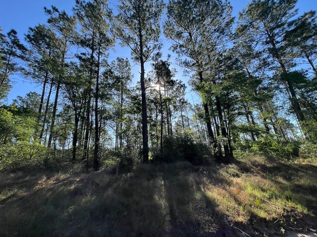 T-8 Fountain Creek Road, Groveton, TX 75845