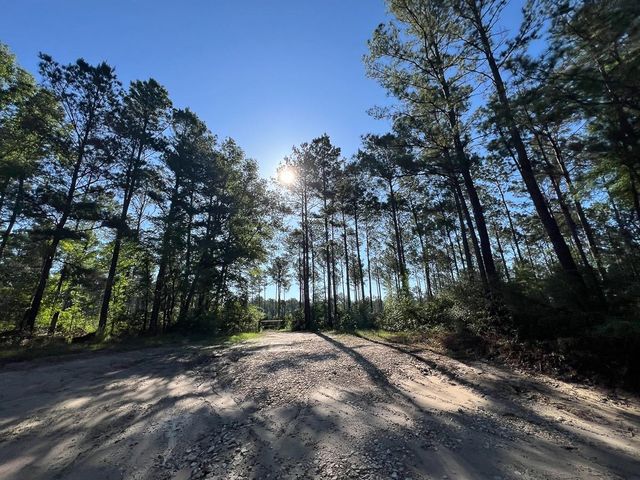 T-8 Fountain Creek Road, Groveton, TX 75845