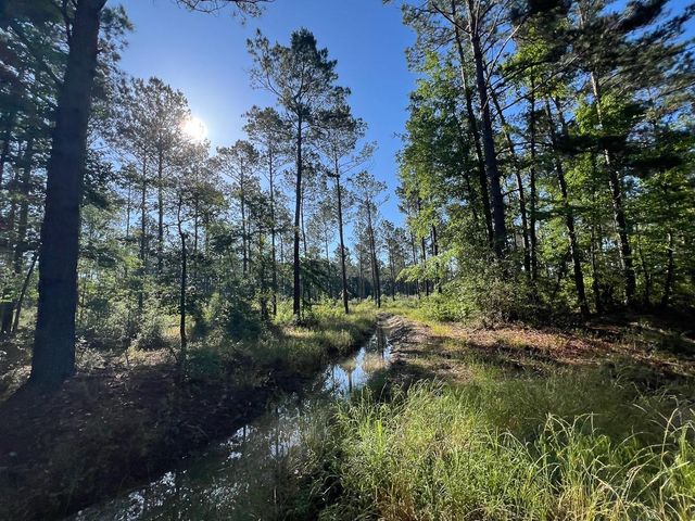 T-8 Fountain Creek Road, Groveton, TX 75845