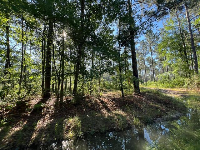 T-8 Fountain Creek Road, Groveton, TX 75845