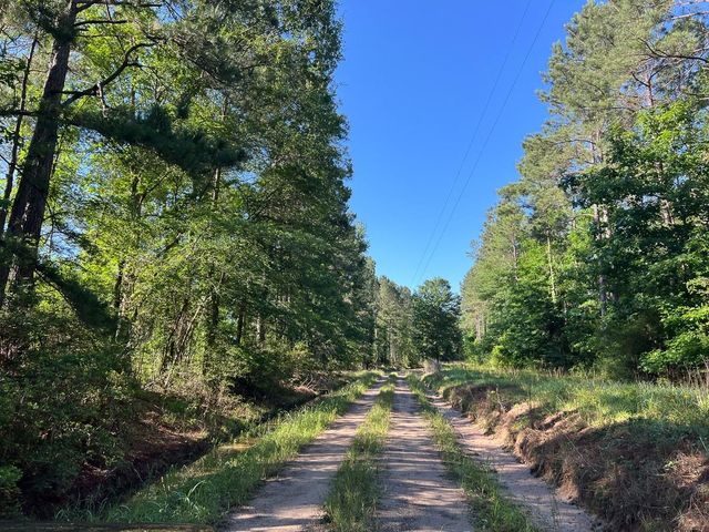 T-8 Fountain Creek Road, Groveton, TX 75845