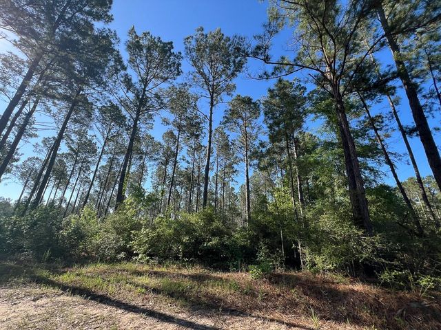 T-8 Fountain Creek Road, Groveton, TX 75845