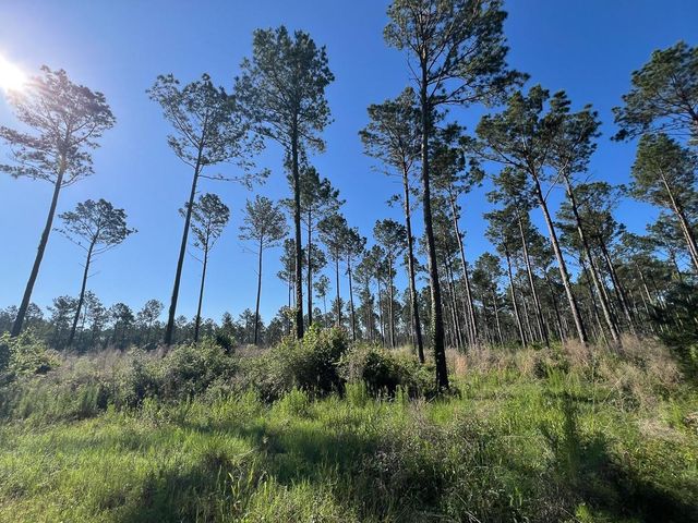 T-8 Fountain Creek Road, Groveton, TX 75845