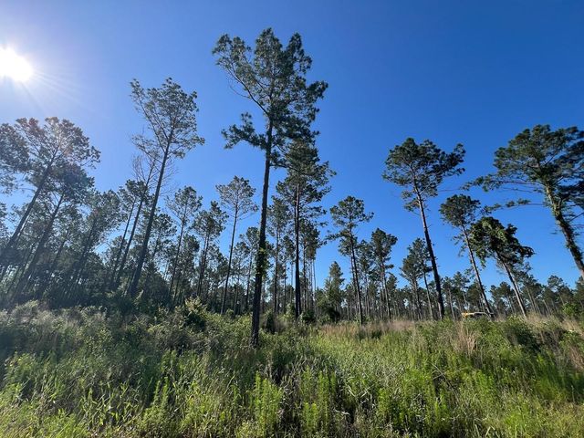 T-8 Fountain Creek Road, Groveton, TX 75845