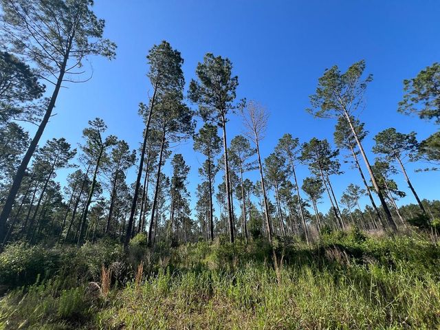 T-8 Fountain Creek Road, Groveton, TX 75845