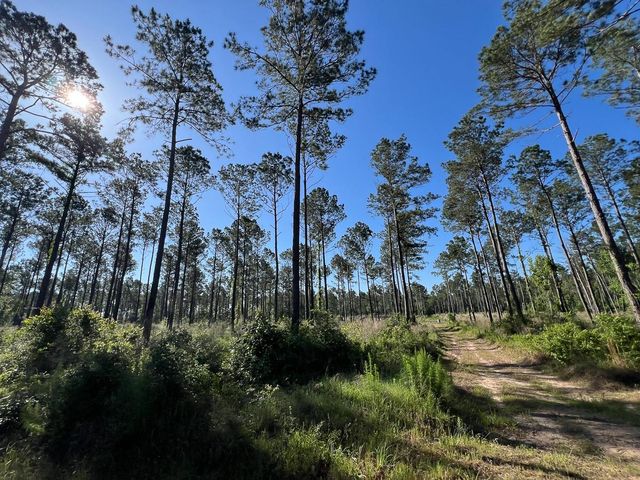 T-8 Fountain Creek Road, Groveton, TX 75845